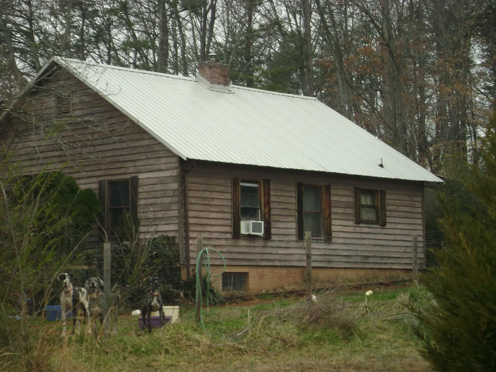 White metal roof on an old wood sided farmhouse, from a Asphalt Shingle Roof Repair job in Cornersville